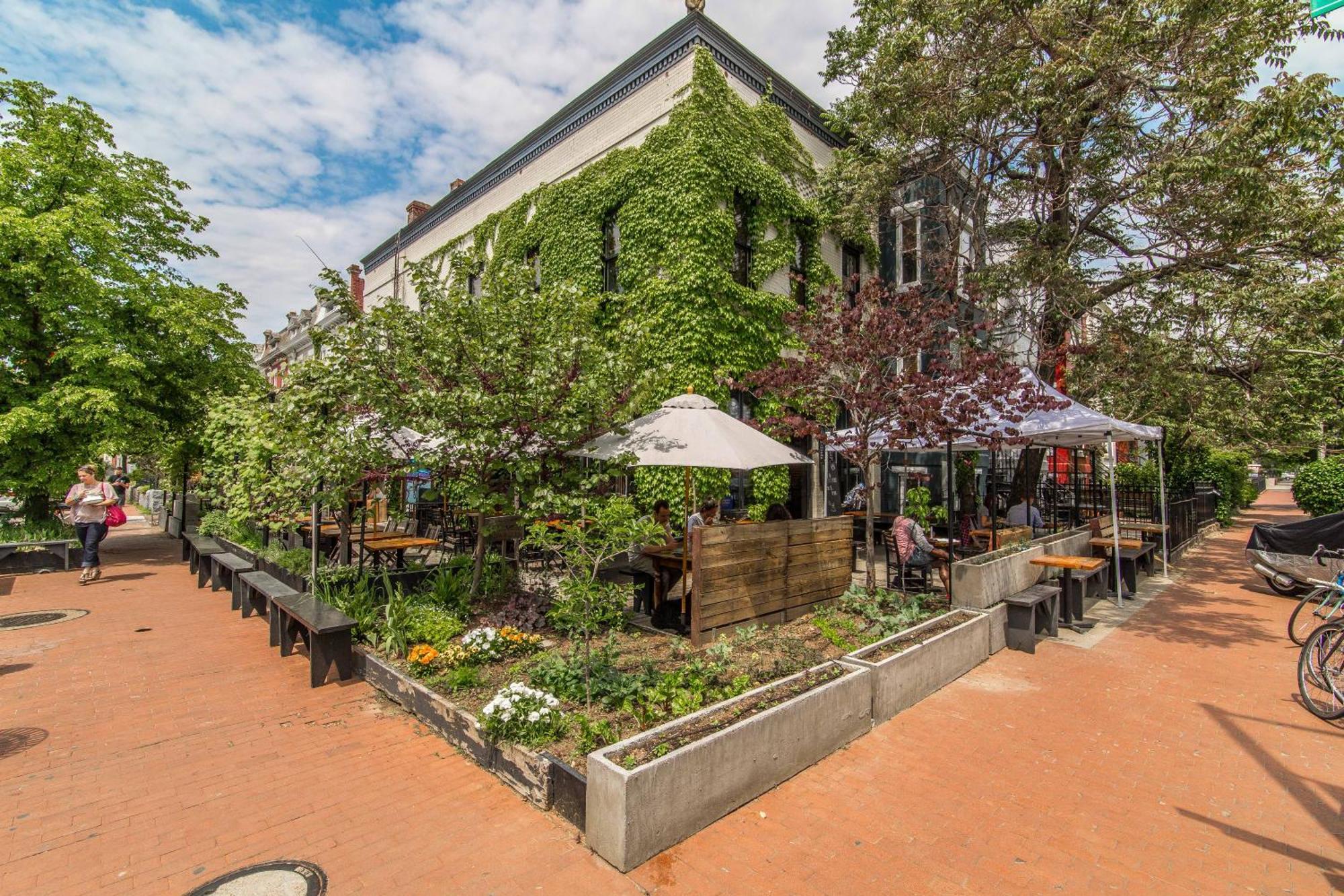 Stylish Renovated Flat, Central, Walk To Dc Sights Apartamento *